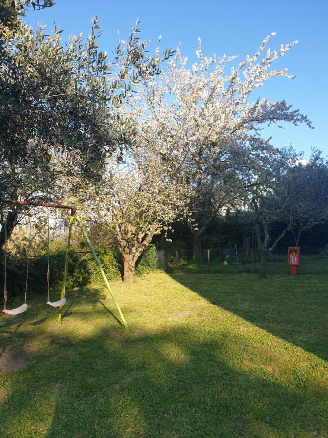 Alloggio Turistico Montefiascone Exterior foto